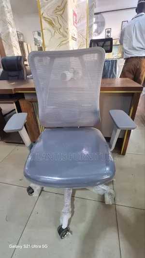 Classic Orgonomic Mesh Chairs