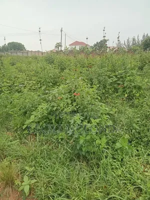50 by 100 Plot in Kawuku Entebbe Rd