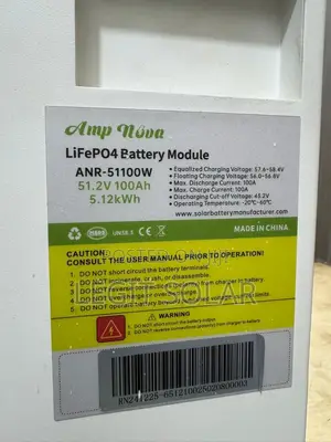 Lifepo4(Lithium Iron Phosphate) Battery Module