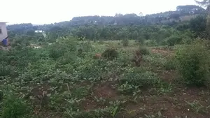 5 Acres for Farm Land for Sell at Masulita Lugugunde