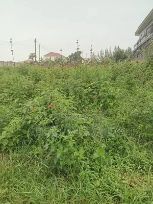 Plot 50 by 100 Bwerenga on Entebbe Rd Mailo Land Title