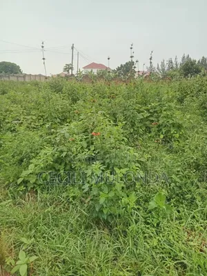 Plot 50 by 100 Bwerenga on Entebbe Rd Mailo Land Title