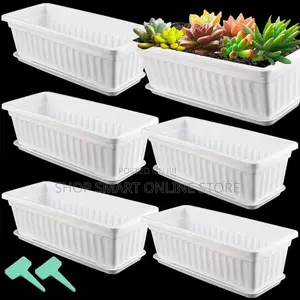 Flower Pots Flower Pots Orchid