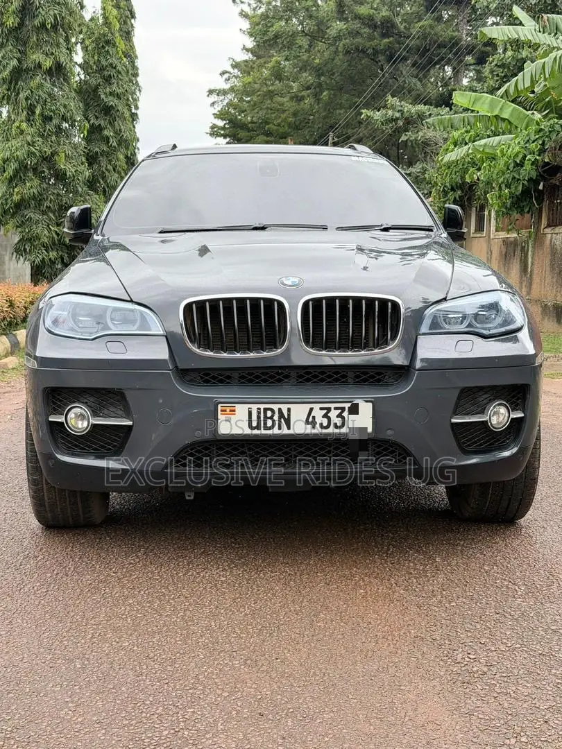 BMW X6 2010 Gray