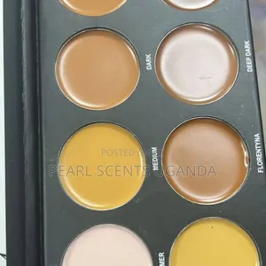 Concealer Palette