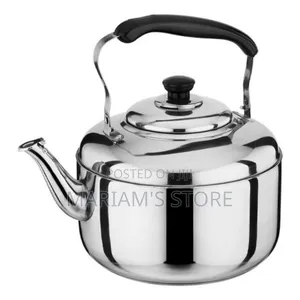 Sawa 4l Thick Stainless Steel Large Capacity Kettle - Silver