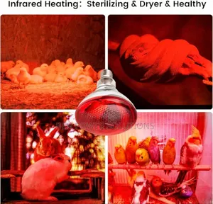 Infrared Brooder Bulbs