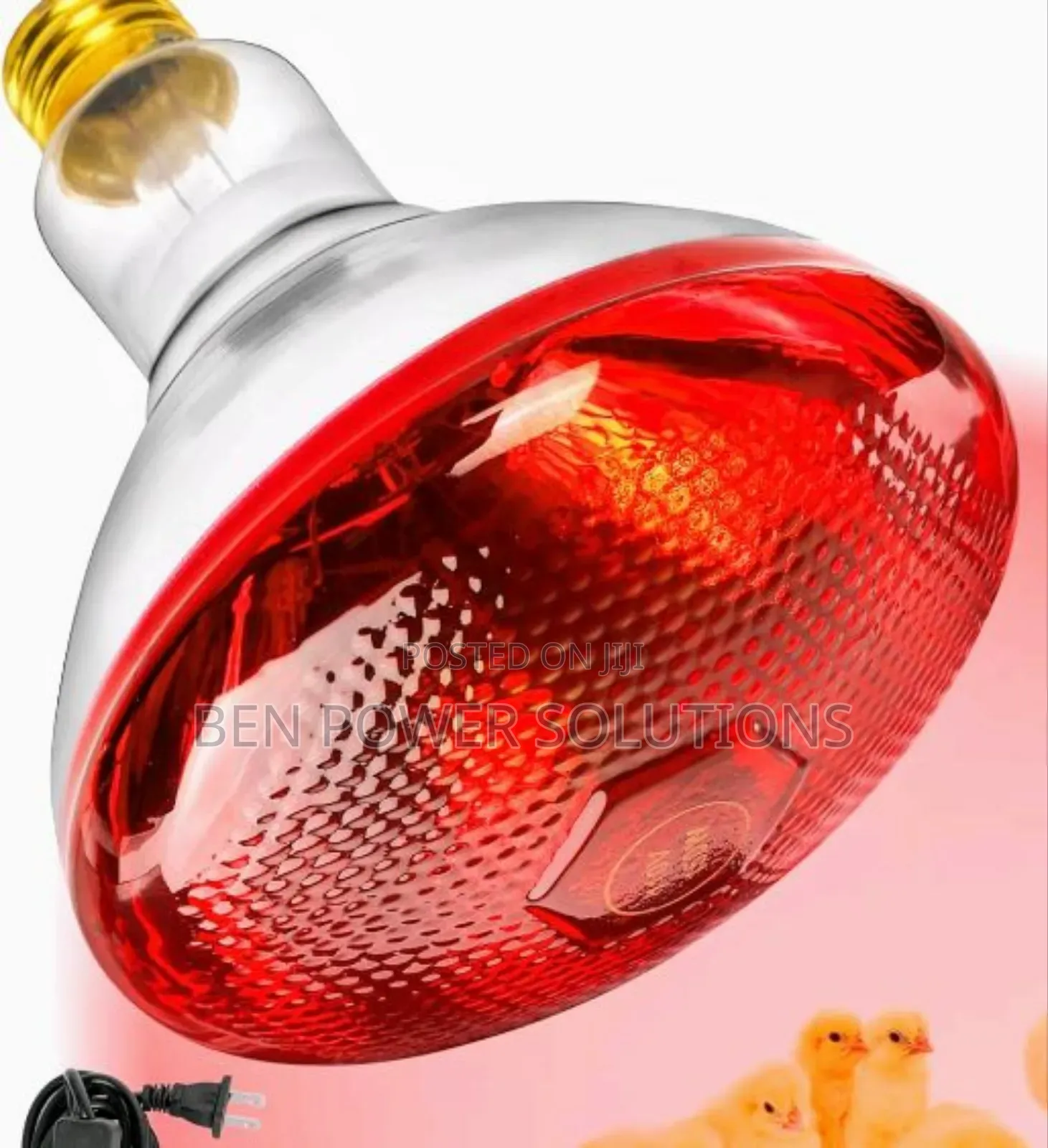 Brooding Lamps