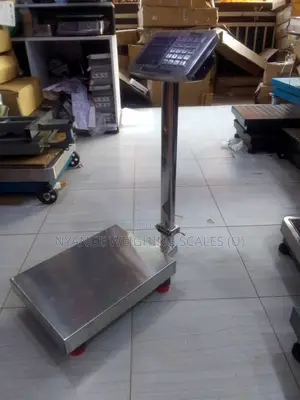 Accurate 200kg Weigh Stainless Weigh Scale Waterproof Weighing Scale