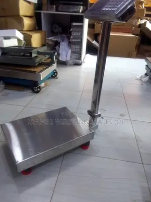 Accurate Weigh Scale 200kg Stainless Steal Waterproof Weighing Scale