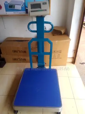Digital Stores Weighing Scale Heavy-Duty Weigh Digital Weighing Scale