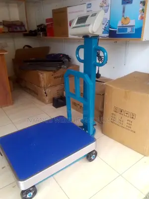 600kg Weigh Digital Heavy Duty Weighing Scale Digital Weighing Scale