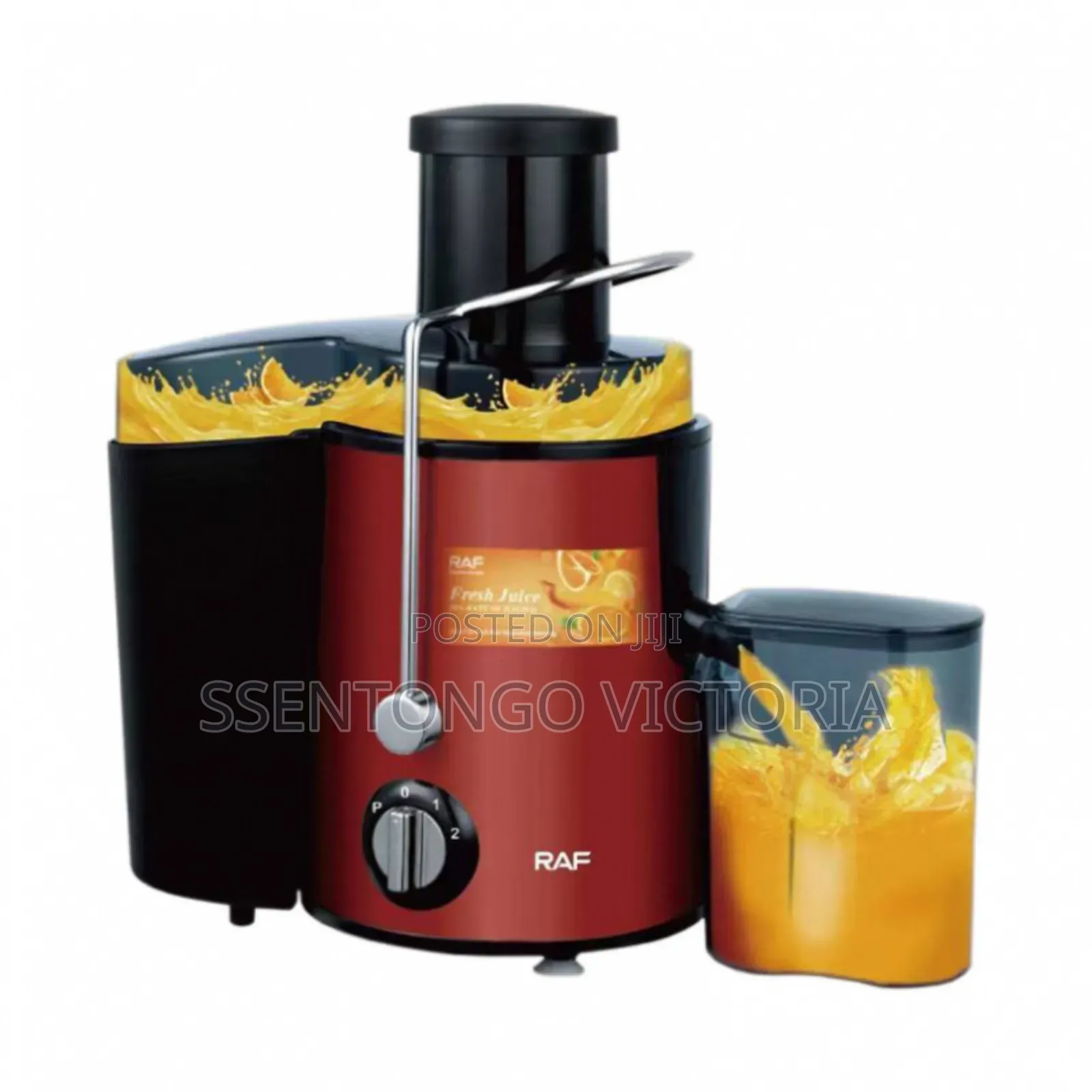 Raf Fruit Juicer