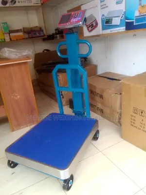 Platform Balance Weighing Scales 600kg Weigh Accurate Weighing Scale