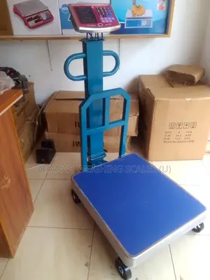 Platform Portable Weighing Scale Weigh 600kg Accurate Weighing Scale