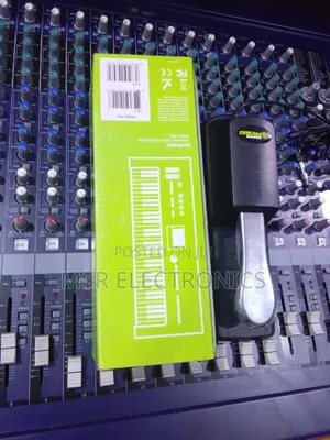 Sustain Pedal