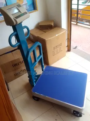Warehouse Digital Weighing Scale 600kg Digital Platform Weighing Scale