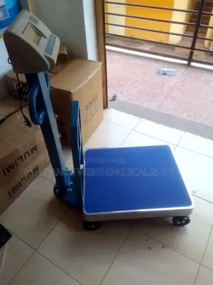 Digital Weighing Scale 600kg Digital Weigh Industrial Weighing Scale