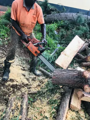 Tree Cutting
