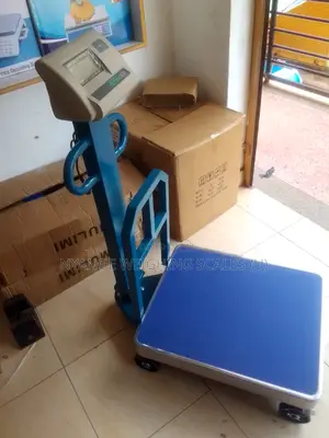 Digital New Platform Weighing Scales 600kg Accurate Weighing Scale
