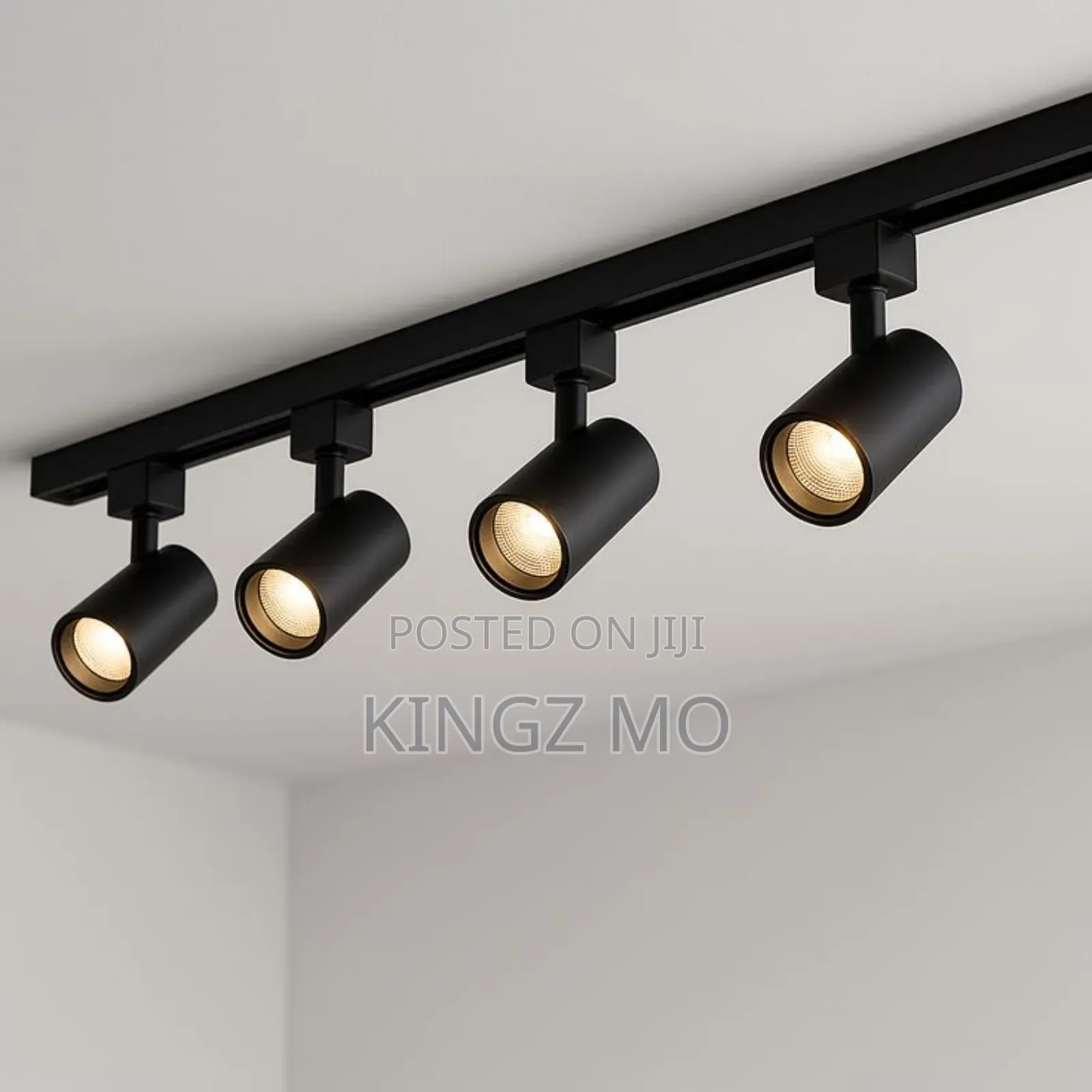 Track Light