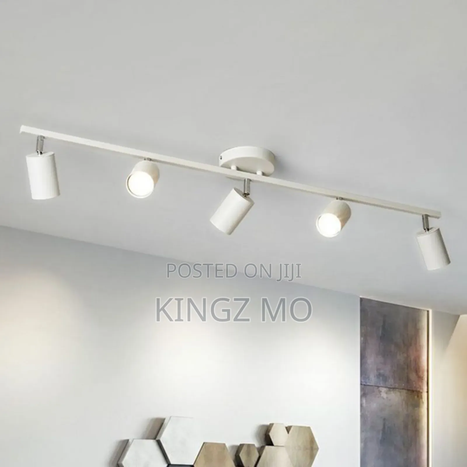 Track Light