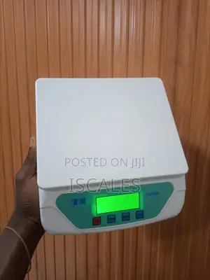 Digital Weighing Scale 30kg Weigh Electronic Digital Weighing Scale