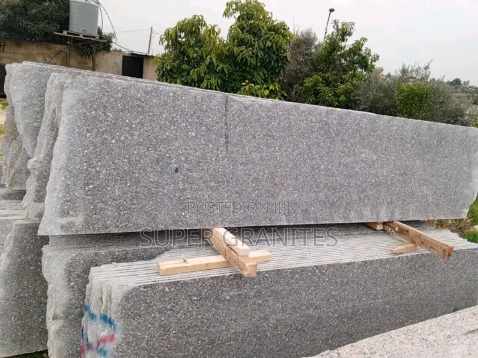 Dotted Granites and Marbles
