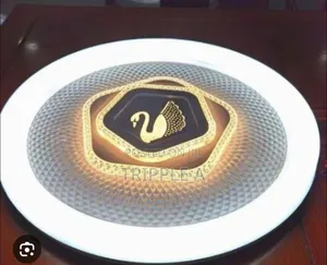 Luxury Ceiling Light