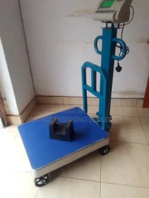 Warehouse Digital Weigh Scale New Weigh 600kg Digital Weighing Scale