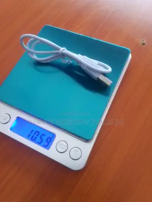 Portable Pocket Weigh Scale 500g/0.01g Weigh Accurate Weighing Scale