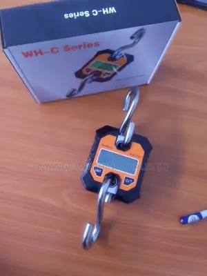 Hanging Weighing Scale Light Duty 200kg Hanging Weighing Scale