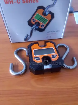 Crane Digital Weighing Scale Fishing Weigh Mini Digital Weighing Scale