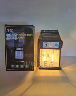 Double Bulb Solar Lamp