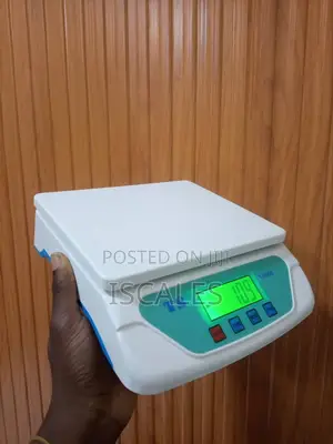 Portable Kitchen Weighing Scale 30kg Weigh Accurate Weighing Scale