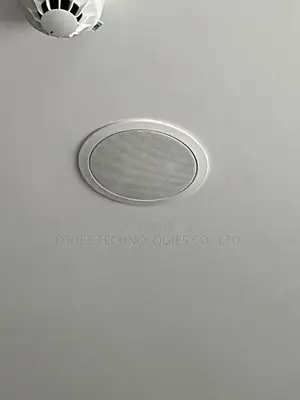 Ceiling Speakers Smart Sound