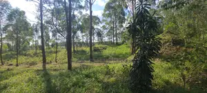 Prime 2 Acres Land For Sale