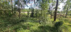Prime 2 Acres Land For Sale