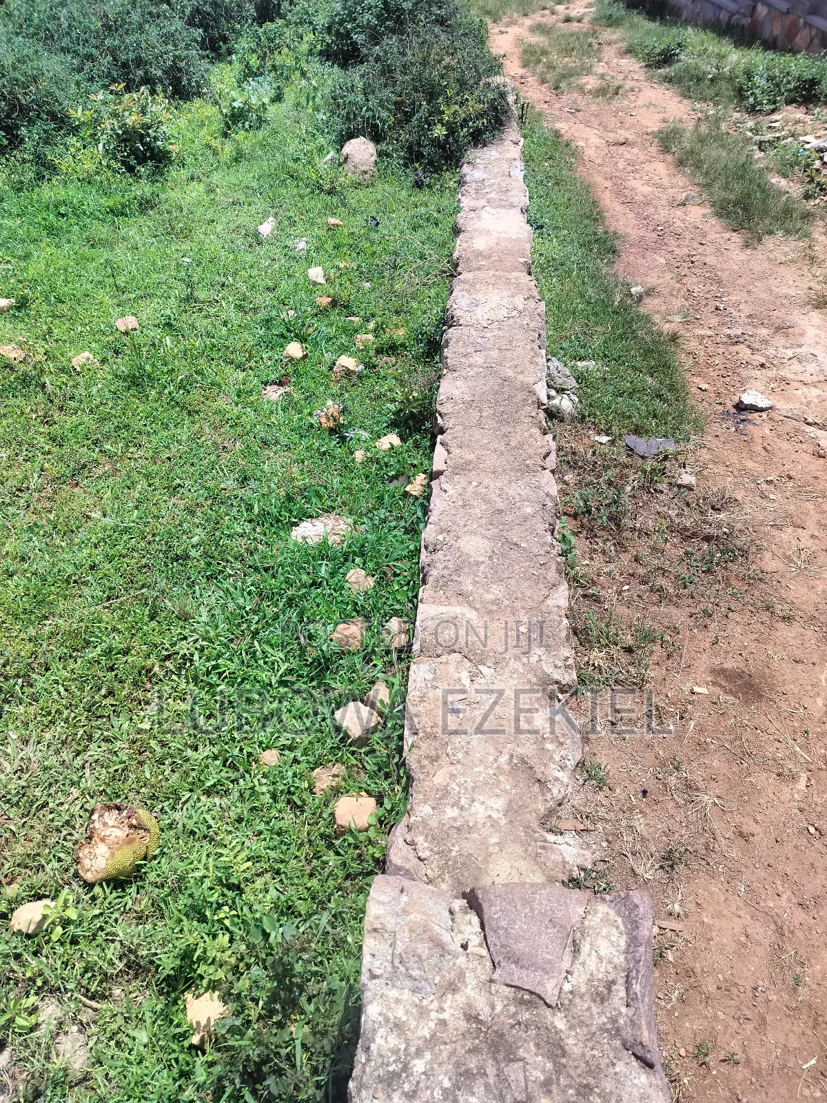 Plot for Sale