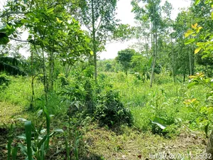 5 Acres of Land Private Milo