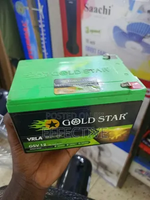 Gold Star Vrla Valve Regulated Lead Acid Battery.