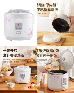 4l Decorative Electric Rice Cooker With Floral Design