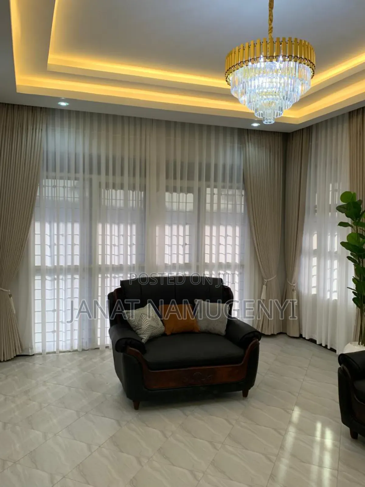 House Curtains and Nets