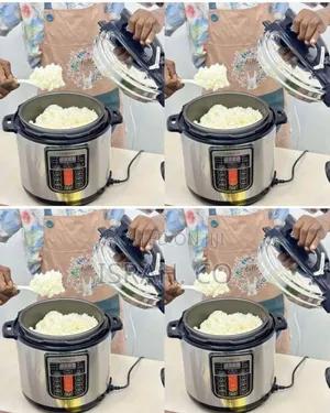 Digiwave 11 Liters Electric Pressure