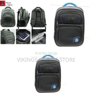 Denggao Anti-Theft Travel Laptop Student Bookbag Backpack Bag19 Inch