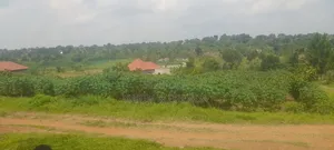 Half Acre For In Jomayi Estate Bombo