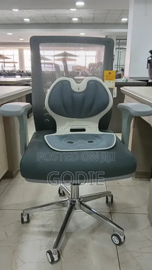 Executive Office Chair Withergonomic Lumbar Support Backrest