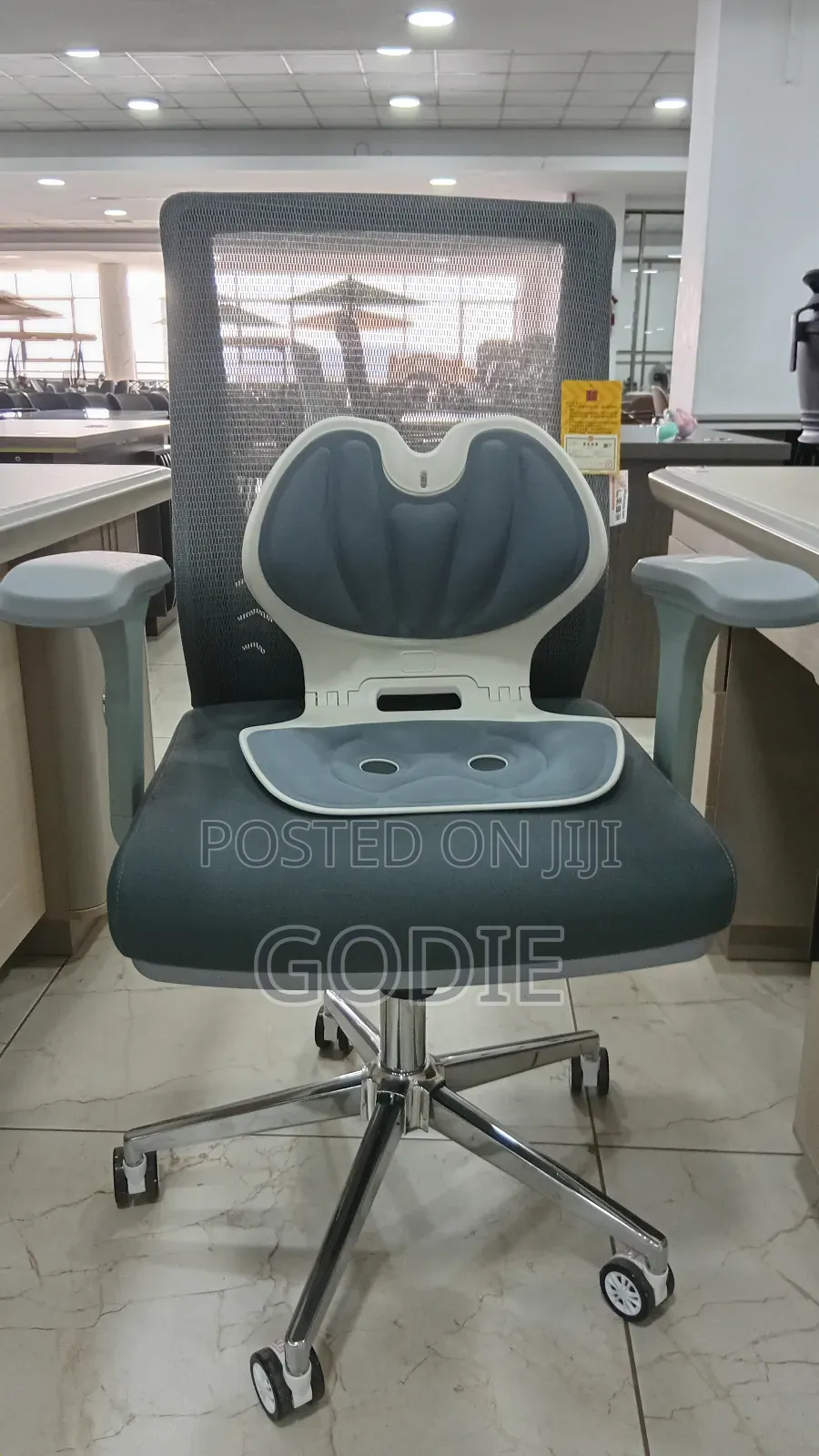 Executive Office Chair Withergonomic Lumbar Support Backrest
