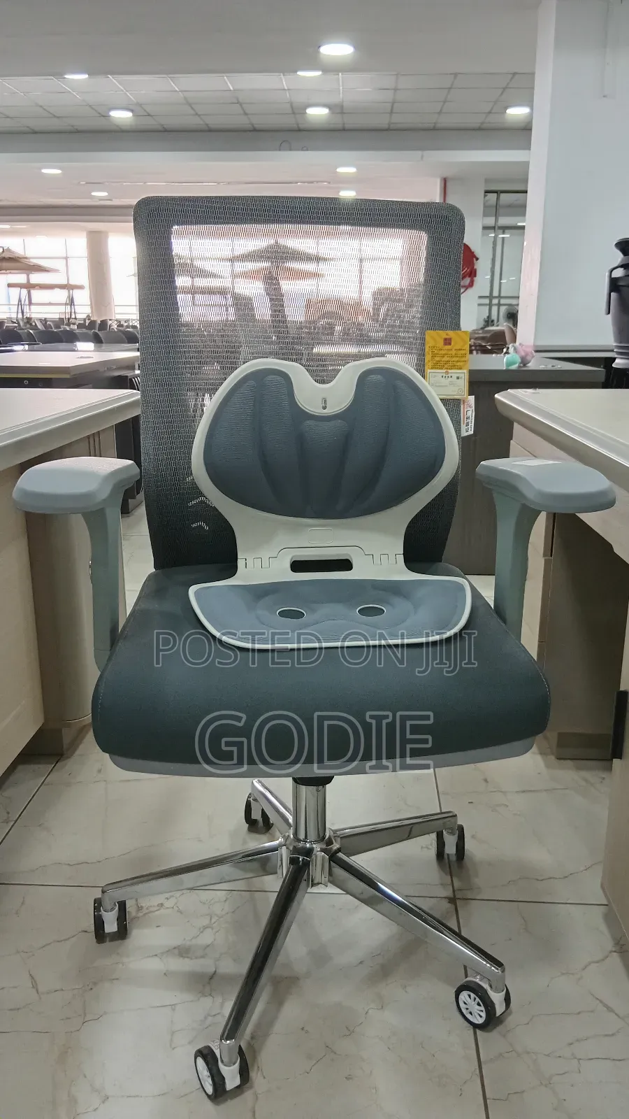 Executive Office Chair Withergonomic Lumbar Support Backrest