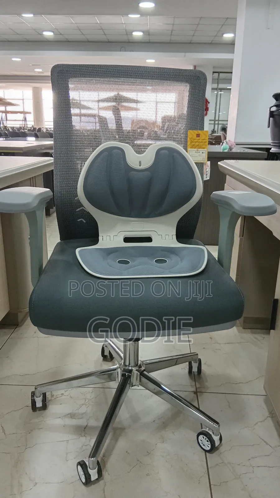 Executive Office Chair Withergonomic Lumbar Support Backrest